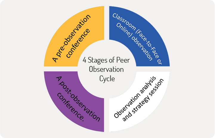 Faculty Peer Observation